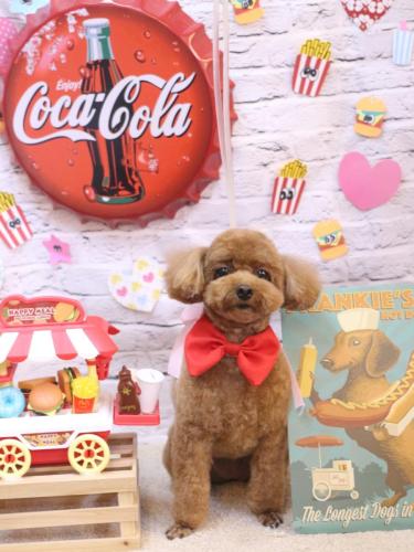 20230919ブラちゃん